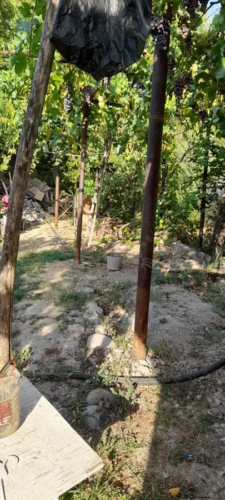 Ховли санатория бустон