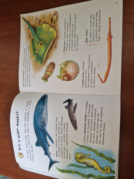 Книжка Океаны и моря