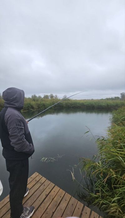 Коттедж посуточно