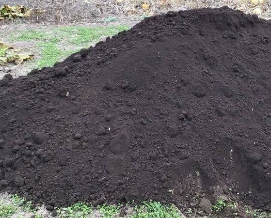 Доставка Чернозём земля