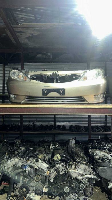 Морда Ноускат Камри