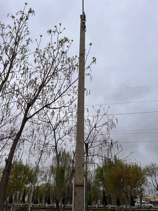 Столба сатылады