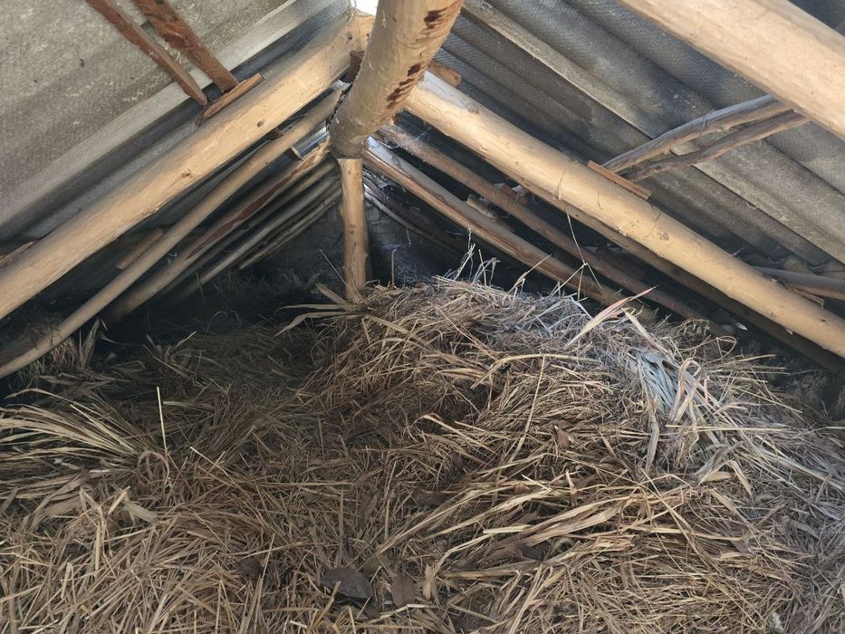 Somon joxari beda aralash sotiladi