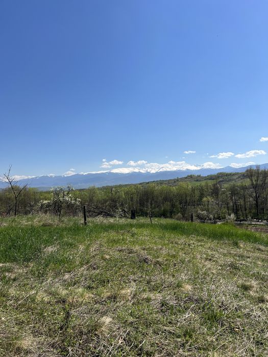 Teren panoramic 5.800 mp, acces la drum, vedere Munții Retezat, Ciula