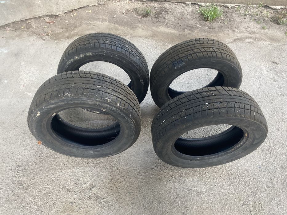 Зимние Шины Triangle 215/60/r16