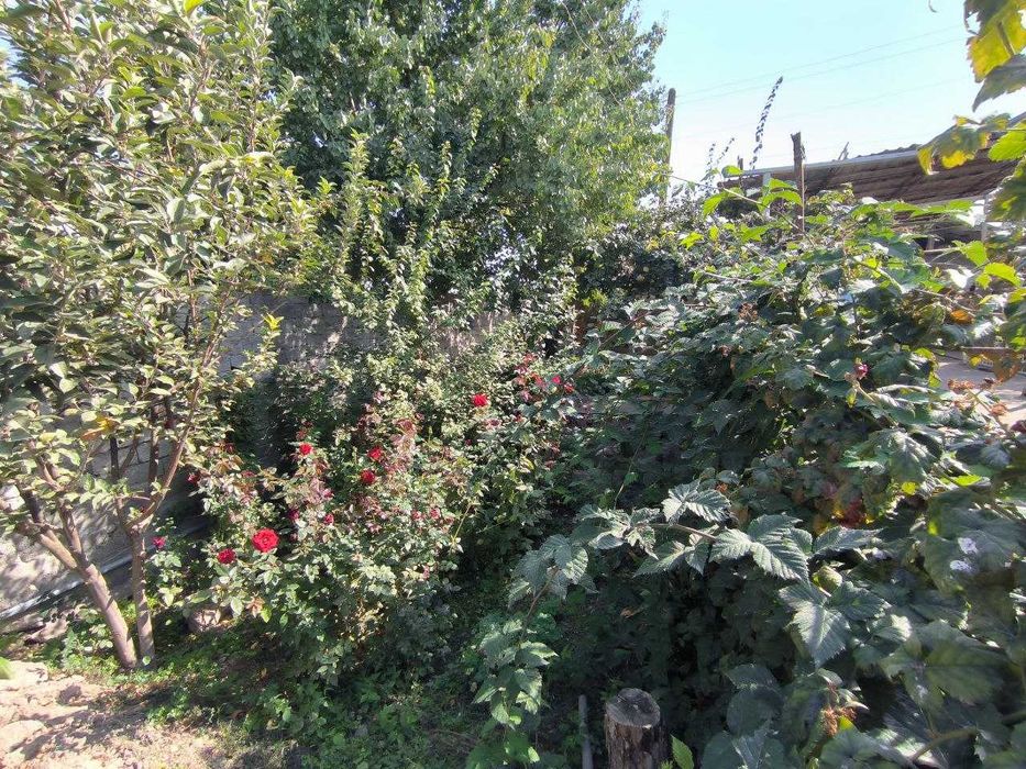 Sotilladi hovli 4,5 sotih Tovoqsoy Продается дача 4.5 соток Таваксай