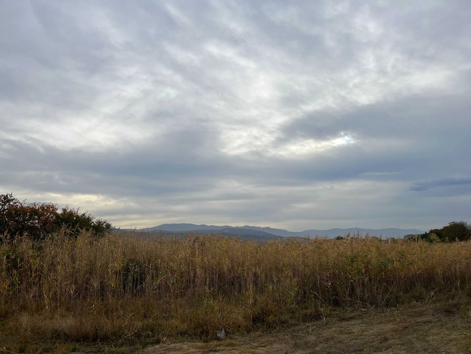 Продава се Парцел в с. Златитрап, Област Пловдив - 3000 кв.м за 21 €/кв.м - Снимка #3