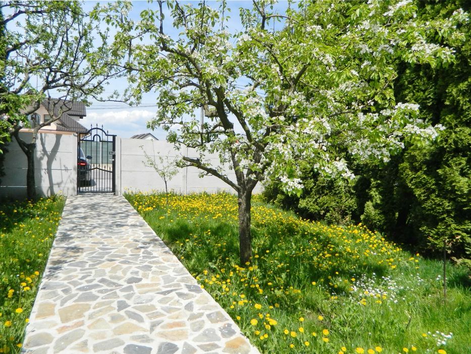 Apartament in vila cu teren propriu