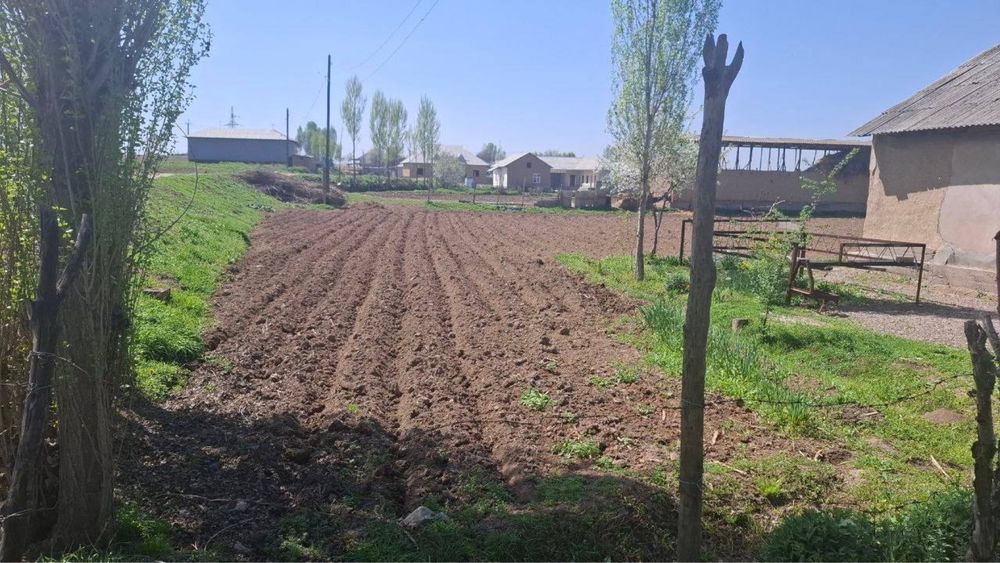 Прадется земля ташморе с 2 комнатным постройкой