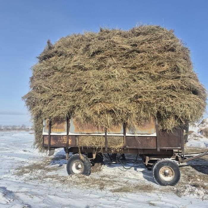 Продам  сено россыпью