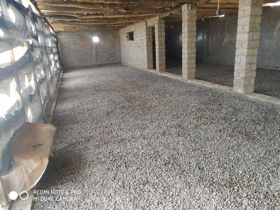 Ташкент.область. Майский.СВТ Звездочка.Продам 2 дачи на 12 сотках.