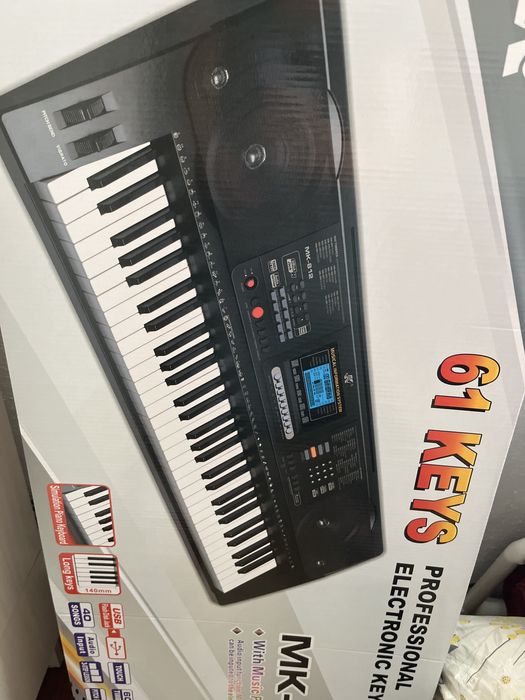 Professional electronic keyboard