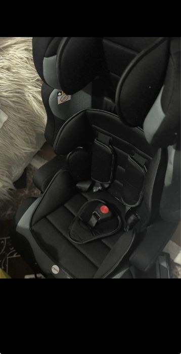 Scaun auto Leona