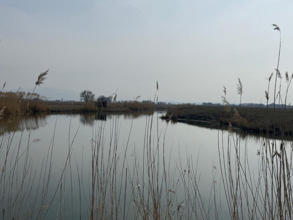 Рыбалка и дом с баней за городом