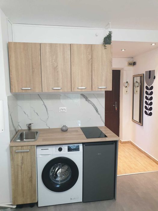 Garsoniera Regie, metrou Grozavesti, proprietar