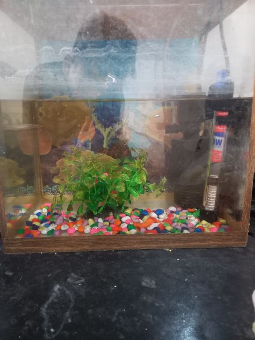 Продам аквариум.