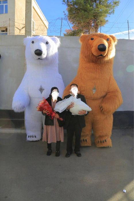 Ayiqlar sotiladi | Ayiq sotiladi