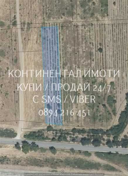 кодг 62932. Гледано лозе 2200м2 десертно Супер ран до шосе и язовир