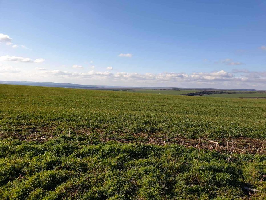 Продава се Земеделски имот в с. Тервел, Област Шумен -  кв.м за 509 €/дка - Снимка #3