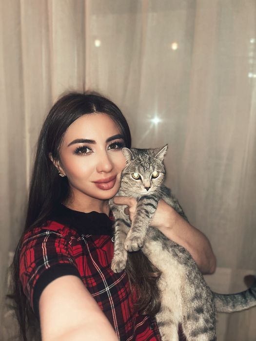 Шотландская прямаухая  на вязку