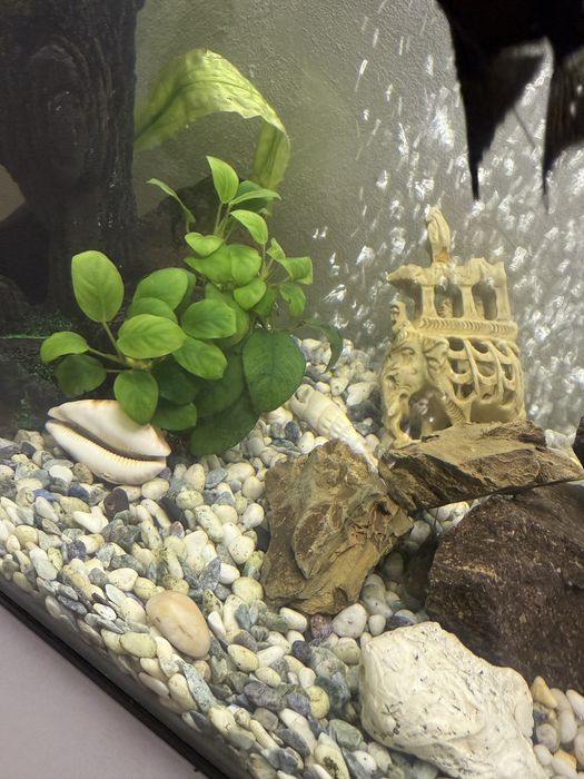 Продам грунт,гальку для аквариума .