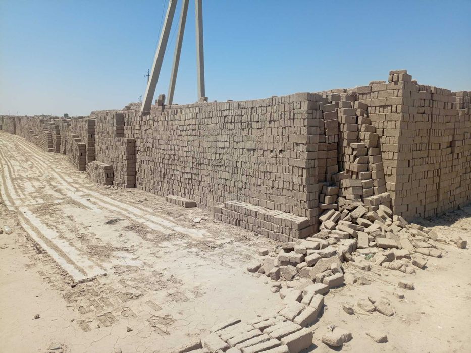 Пишган Гишт хом каруч