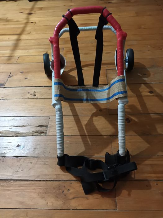 Cărucior câine handicapat/ paralizat