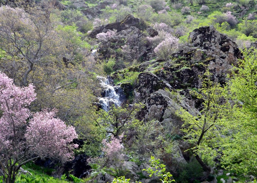 Конный тур теперь и в Самарканде