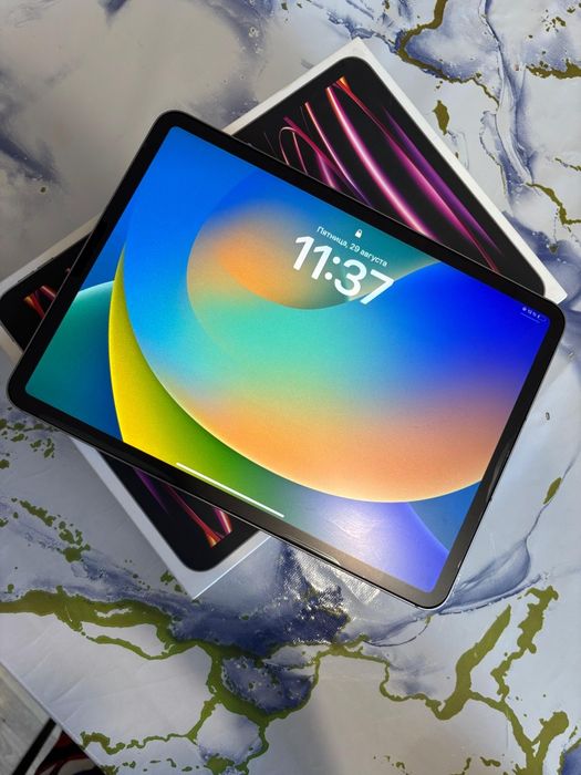 iPad Pro 11 M2 256 GB WiFi+5G Cellular Space Gray