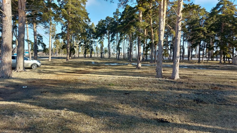 Продам участок 50 соток