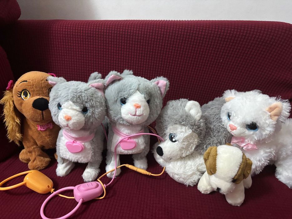 Lot de peste 50 de plusuri