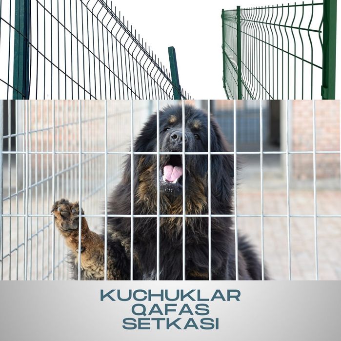 Yevrozabor yevro zabor evrozabor evrozabor yevro setka евро сетки 3D