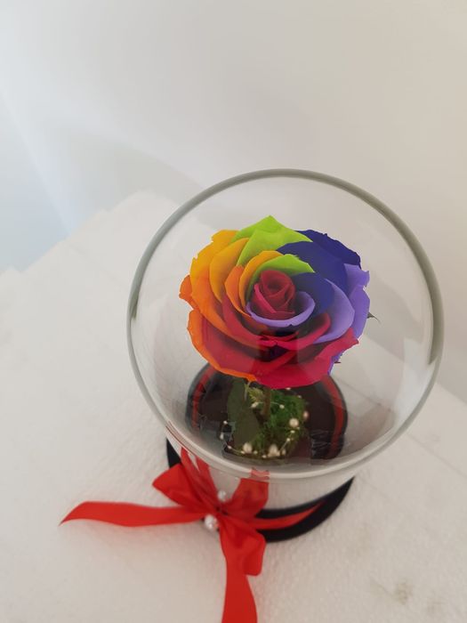 Trandafir criogenat 25 cm multicolor