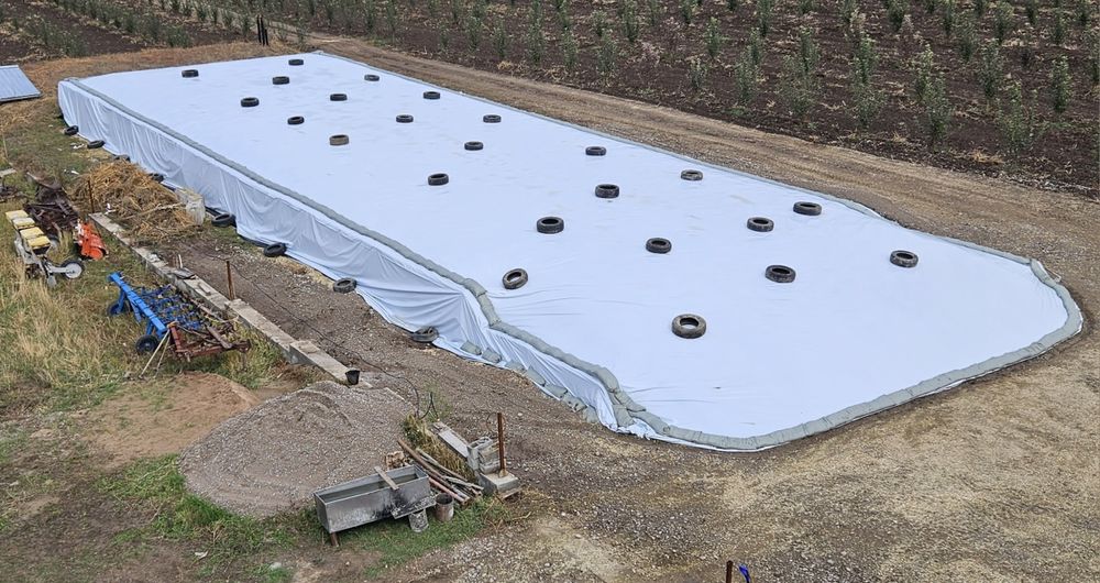 Силос кукурузный