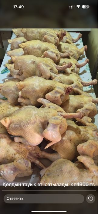 Курица бройлер домашняя