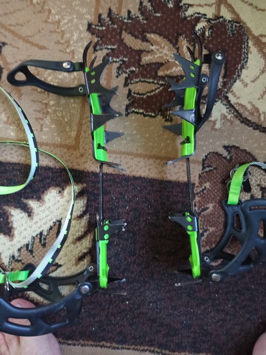 Туристически котки