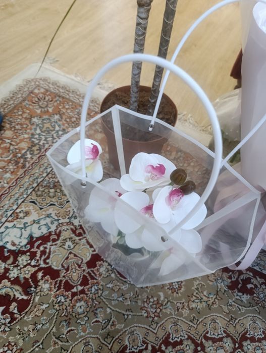 Цветы свежие красивые дешево