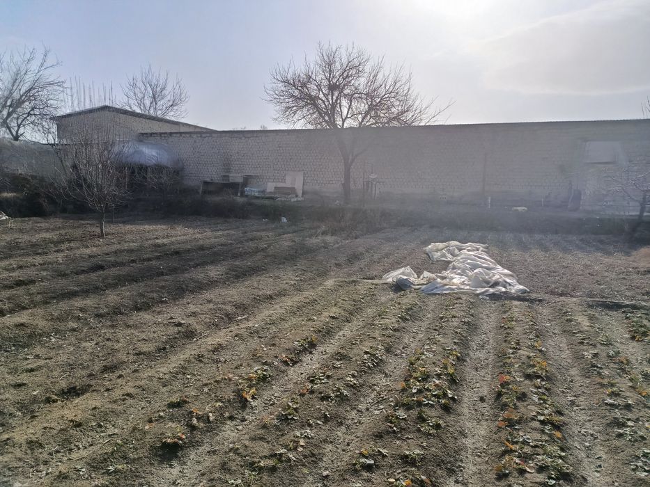 sodikzonberdimurodov