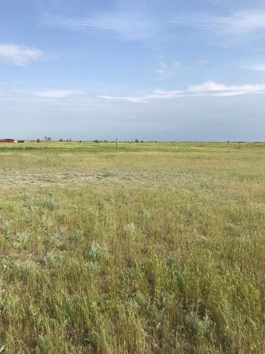 Участок КХ ровная