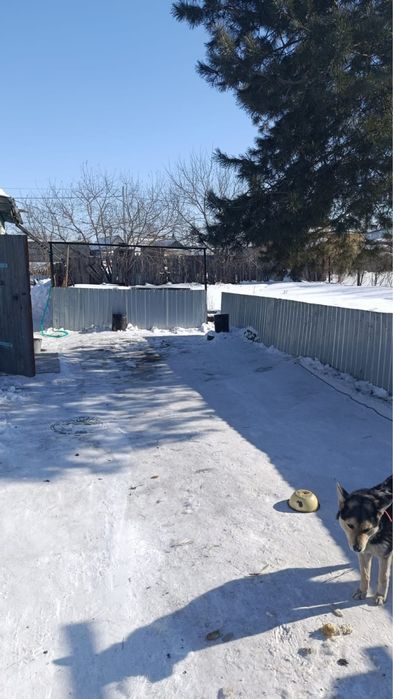 Продам дом в старом Бишкуле