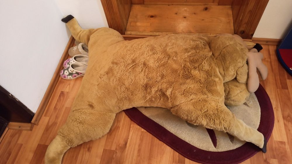 Vând ren mare de 1.2 metri