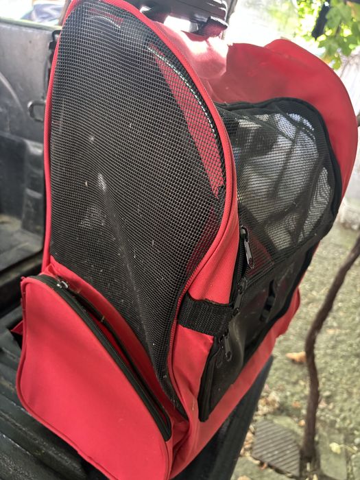 Раница сак за домашен любимец