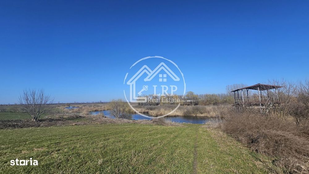 Loturi de Casa pe malul Lacului Creata, Dascalu – 460 mp + Drum serv