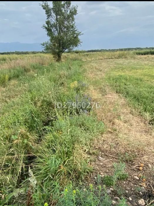 Земельные участки вдоль бетонки