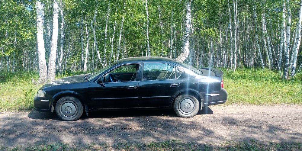 Ниссан максима v3