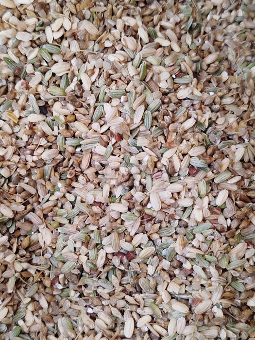 Бетті порно модельдері бар порно