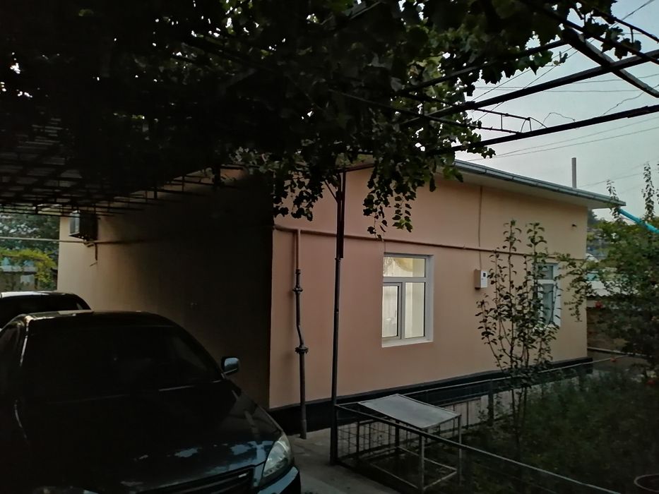 Срочно Уй сотилади озимники