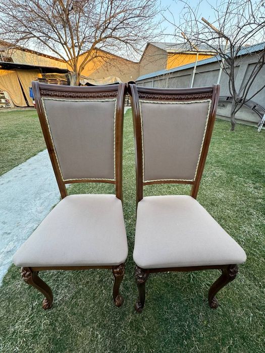 Прокат стол стул, prokat stol stul, prakat stol stul