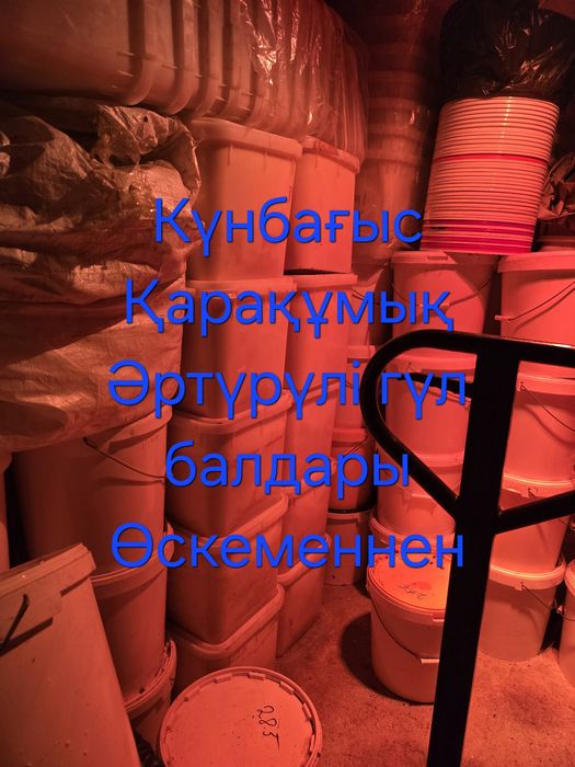 Өскемен балы мед ВКО