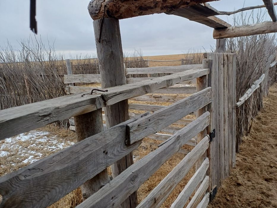 Продаётся рыбаловно охотничия база.